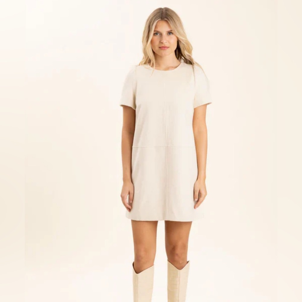 Sedge Vienna mini Dress-Chiffon vintage Cream NWT Large $299 SALE